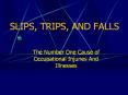 SLIPS, TRIPS, AND FALLS PowerPoint PPT Presentation