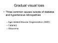 Gradual visual loss PowerPoint PPT Presentation