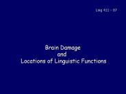 Brain Damage and  Locations of Linguistic Functions