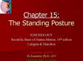 Chapter 15: The Standing Posture PowerPoint PPT Presentation