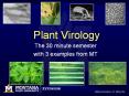 Plant Virology PowerPoint PPT Presentation