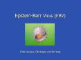 Epstein-Barr Virus (EBV)    Erika Guevara, Elly Nagata and Bin Yang PowerPoint PPT Presentation