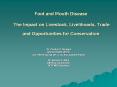 Foot and Mouth Disease  The Impact on Livestock, Livelihoods, Trade and Opportunities for Conservation PowerPoint PPT Presentation