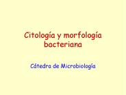 Citolog