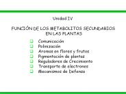 Diapositiva 1