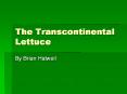 The Transcontinental Lettuce PowerPoint PPT Presentation