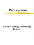 Carbohydrates PowerPoint PPT Presentation