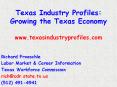 Texas Industry Profiles: Growing the Texas Economy www.texasindustryprofiles.com PowerPoint PPT Presentation