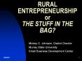 RURAL ENTREPRENEURSHIP or THE STUFF IN THE BAG? PowerPoint PPT Presentation