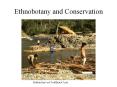 Ethnobotany and Conservation PowerPoint PPT Presentation