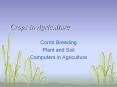 Crops in Agriculture PowerPoint PPT Presentation