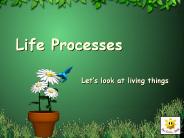 Life Processes