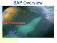 SAP Overview