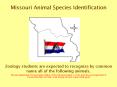 Missouri Animal Species Identification PowerPoint PPT Presentation
