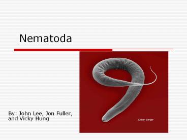 Nematoda