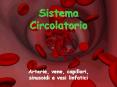 Sistema Circolatorio PowerPoint PPT Presentation