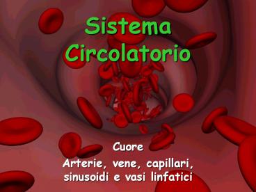 Sistema Circolatorio