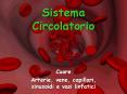 Sistema Circolatorio PowerPoint PPT Presentation