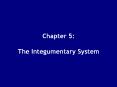 Chapter 5:  The Integumentary System PowerPoint PPT Presentation