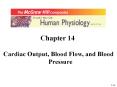 Chapter 14 Cardiac Output, Blood Flow, and Blood Pressure PowerPoint PPT Presentation