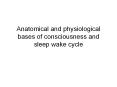 Anatomical and physiological bases of consciousness and sleep wake cycle PowerPoint PPT Presentation