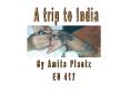 A trip to India PowerPoint PPT Presentation