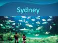 Sydney PowerPoint PPT Presentation