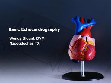Basic Echocardiography