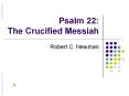 Psalm 22: The Crucified Messiah PowerPoint PPT Presentation