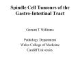 Spindle Cell Tumours of the Gastro-Intestinal Tract PowerPoint PPT Presentation
