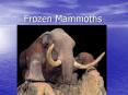 Frozen Mammoths PowerPoint PPT Presentation