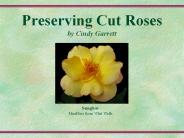 Preserving Cut Roses by Cindy Garrett
