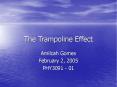 The Trampoline Effect PowerPoint PPT Presentation