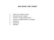 BIOCHIMICA DEL FERRO
