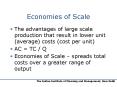 Economies of Scale PowerPoint PPT Presentation