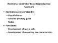 Hormonal Control of Male Reproductive Functions PowerPoint PPT Presentation
