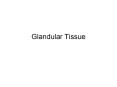 Glandular Tissue PowerPoint PPT Presentation