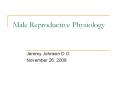 Male Reproductive Physiology PowerPoint PPT Presentation