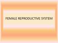 FEMALE REPRODUCTIVE SYSTEM PowerPoint PPT Presentation