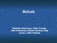 Biofuels PowerPoint PPT Presentation
