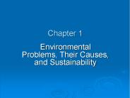 Environmental Problems, Their Causes, and Sustainability