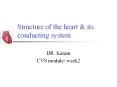 Structure of the heart & its conducting system PowerPoint PPT Presentation