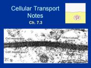 Cellular Transport Notes