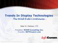 Trends In Display Technologies The Wild Ride Continues… PowerPoint PPT Presentation