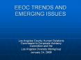 EEOC TRENDS AND EMERGING ISSUES PowerPoint PPT Presentation
