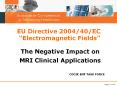 EU Directive 2004/40/EC  Electromagnetic Fields  The PowerPoint PPT Presentation