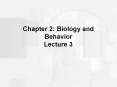 Chapter 2: Biology and Behavior Lecture 3 PowerPoint PPT Presentation