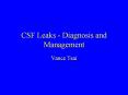 CSF Leaks - Diagnosis and Management PowerPoint PPT Presentation