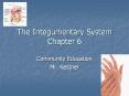 The Integumentary System Chapter 6 PowerPoint PPT Presentation