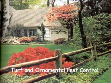 Turf and Ornamental Pest Control